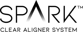 Spark Logo
